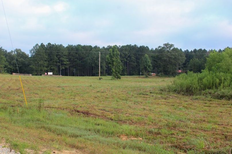 Madison Co - 20.25 - Camden Glenn-19