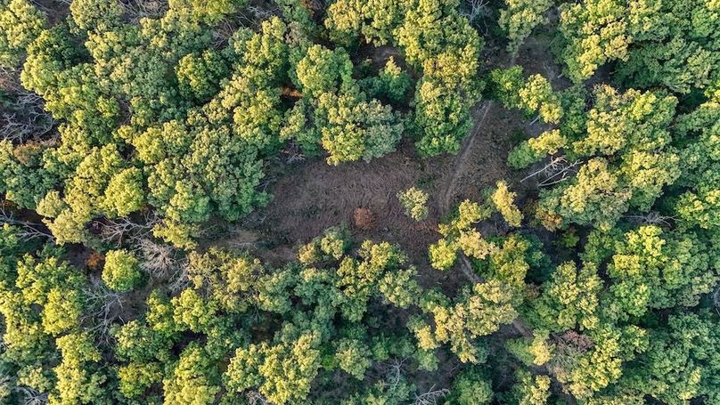 DJI_20251010173742_0025_D