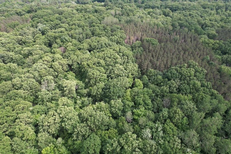 Oswego_22.46-Ross-French_Photos_17