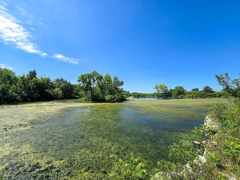 Copy of 20250729_112531