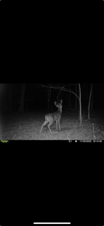 Screenshot 2026-01-06 at 4.30.37 PM