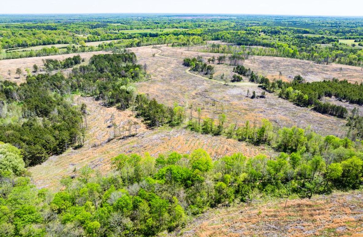 Chickasaw 165 Woods-05