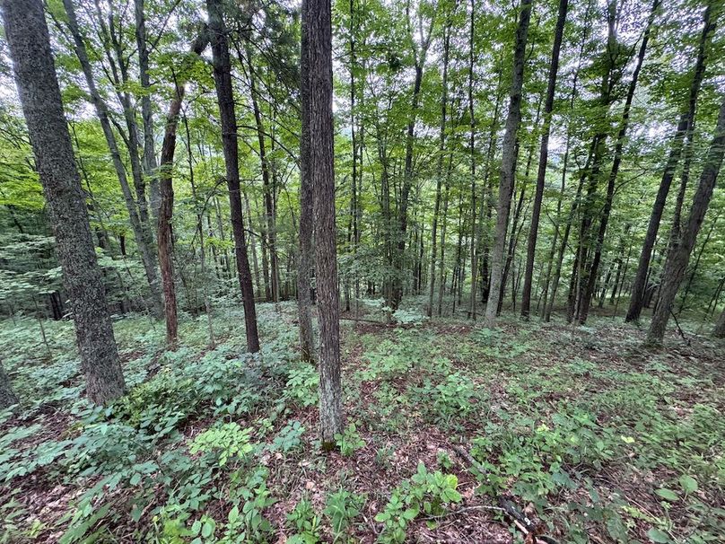 Tyler, WV 46 Lemasters -28