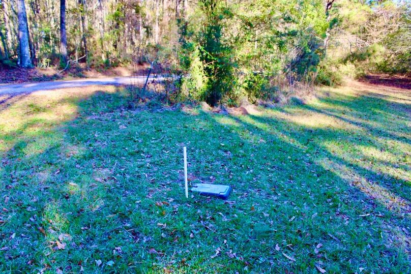 B63BBDF0-E729-4969-B829-59902E76A168_1_201_a-2