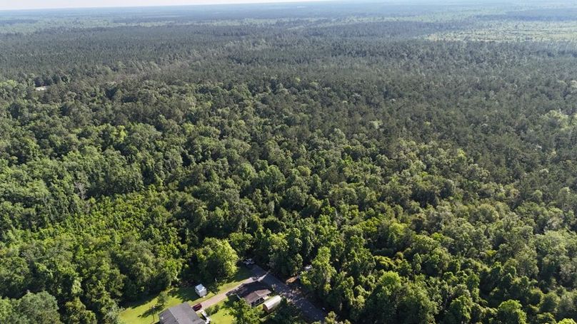 dji_fly_20260512_091542_0170_1778611350658_photo