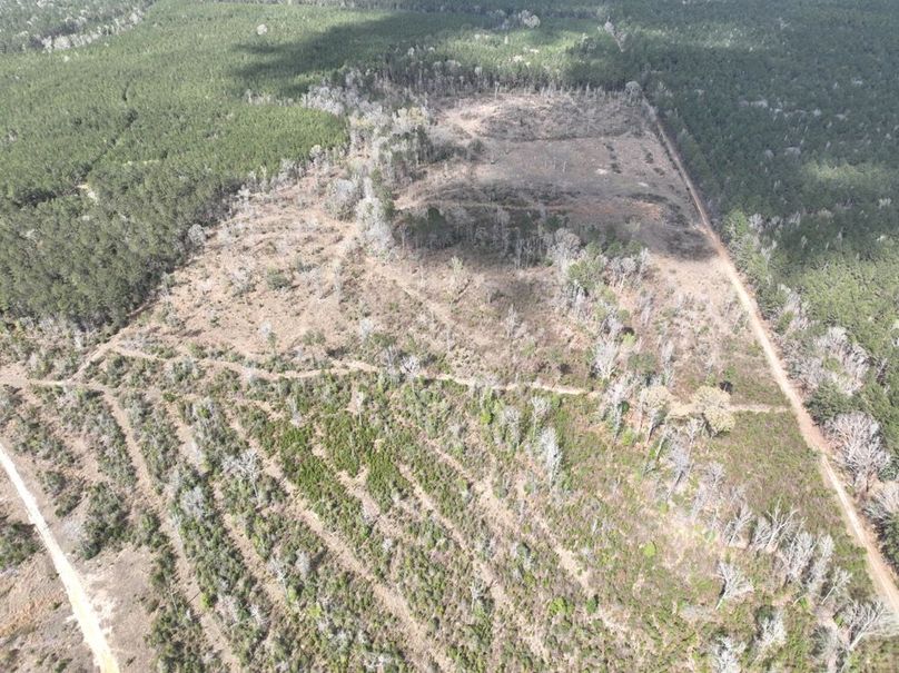 dji_fly_20260303_140122_297_1772637935970_photo