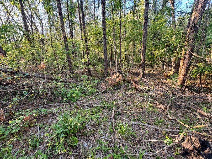 Tallahatchie 44 Newman (Crowden) Wide-46