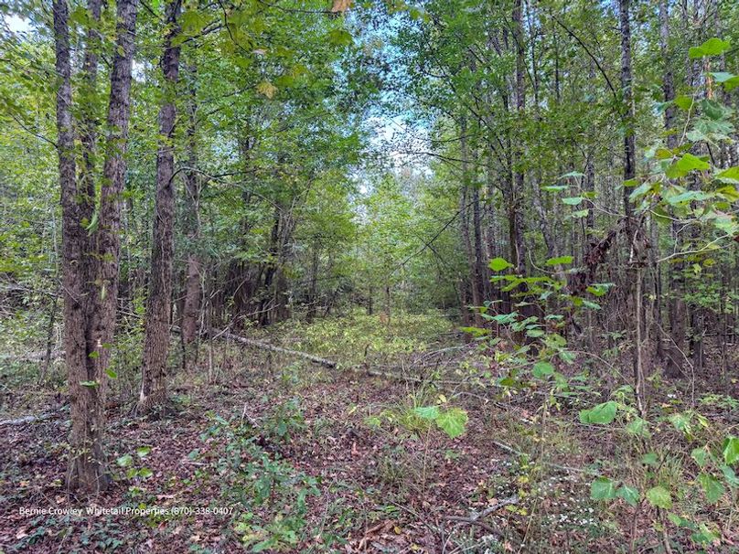 DeSoto 329 Prewett (Thompson) -21