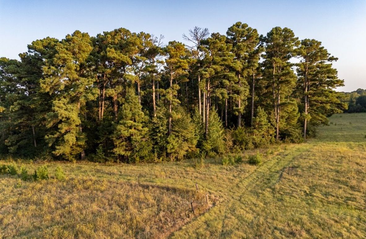 2.2 Wood co. 45ac - Penix edited-14