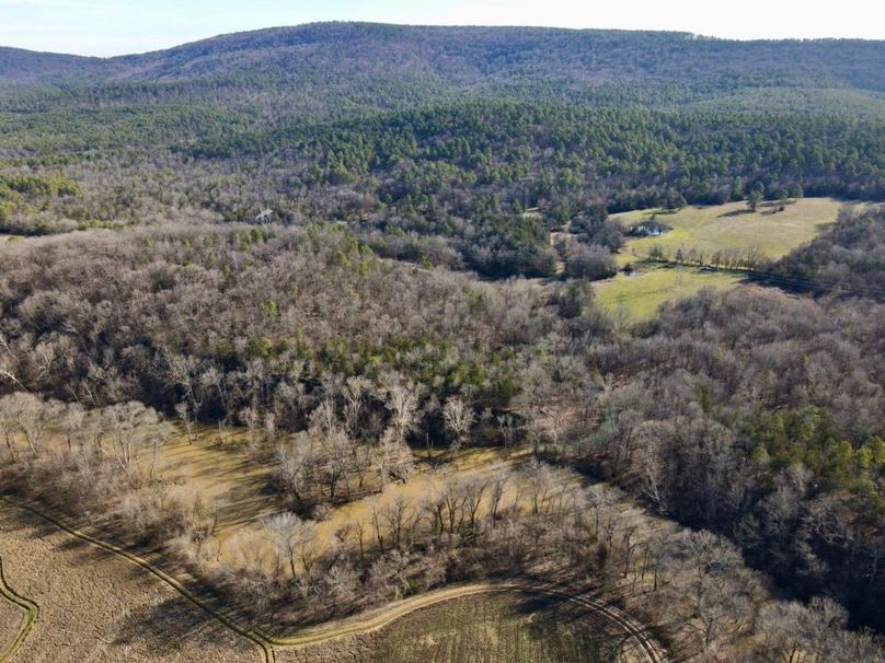 DJI_0800 (1)