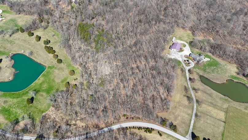 DJI_20260324123135_0131_D