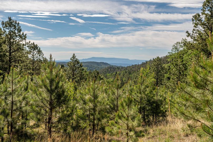 Copy of Los Alamos 508 6-24-7