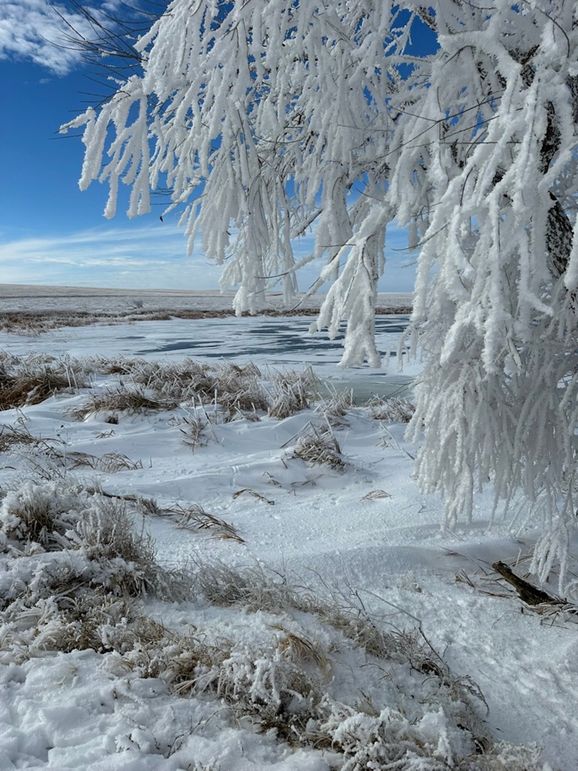 2138FCC0-4725-4EDB-9EC8-B23284DB4909_1_105_c