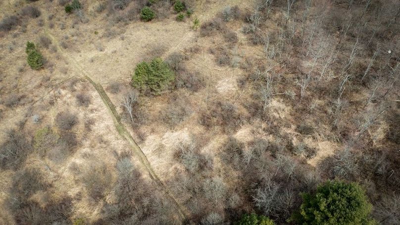 Tioga__NY_109.7_Burris_Photos_58