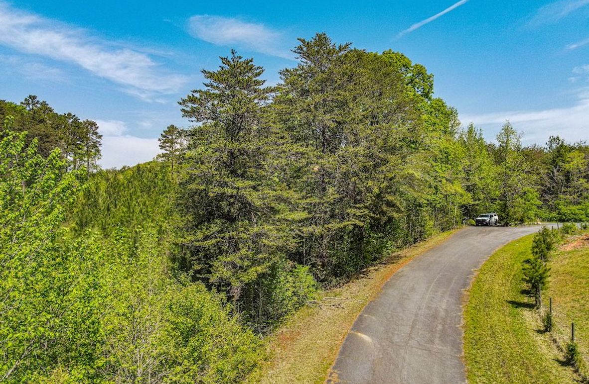 dji_fly_20250414_124558_341_1744649176520_photo