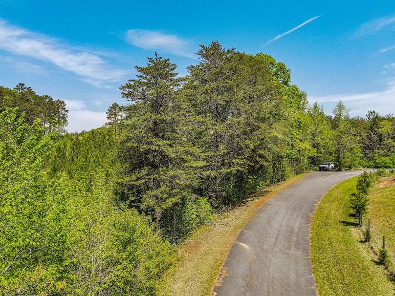 dji_fly_20250414_124558_341_1744649176520_photo
