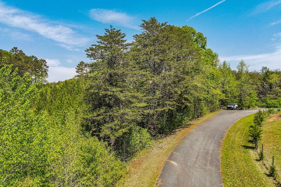 dji_fly_20250414_124558_341_1744649176520_photo