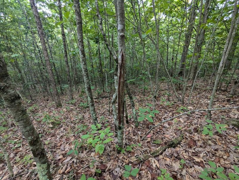 PXL_20240819_150452257