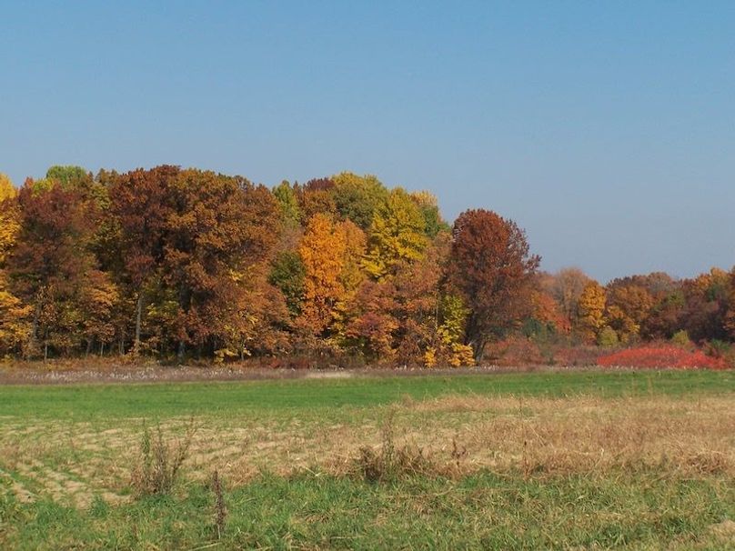 Fall Colors (2)