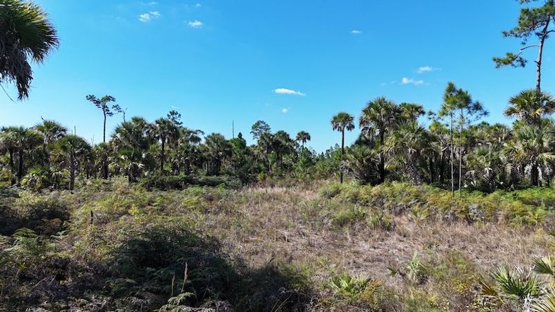 DJI_20251119123835_0972_D