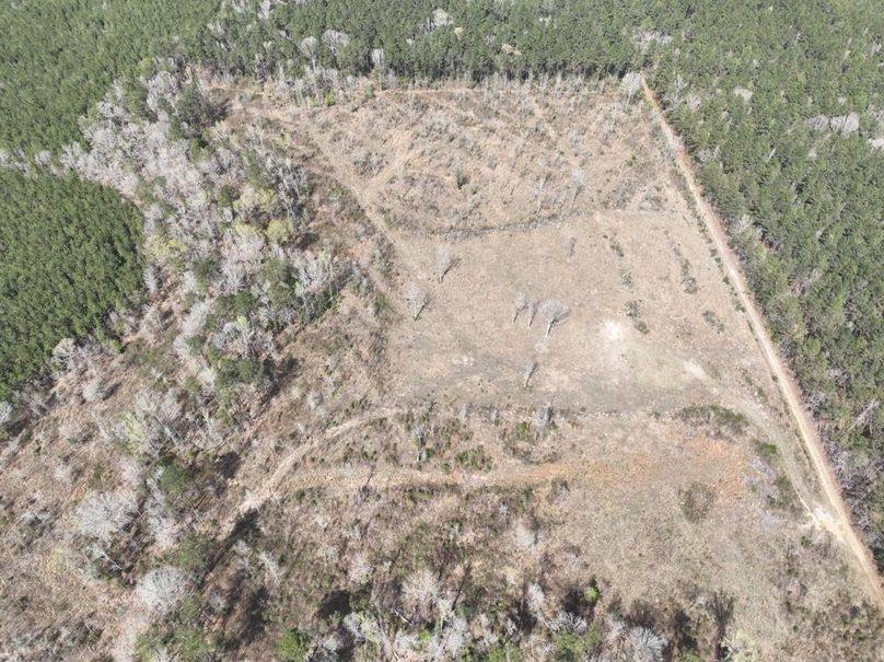 dji_fly_20260303_140224_302_1772637901997_photo