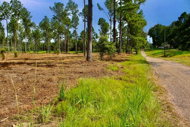 F506E017-890E-467B-BC41-B7DEF8B09D0B_1_105_c