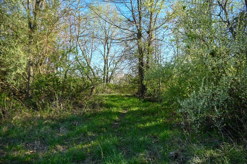 vandalia 450 (2)-2489