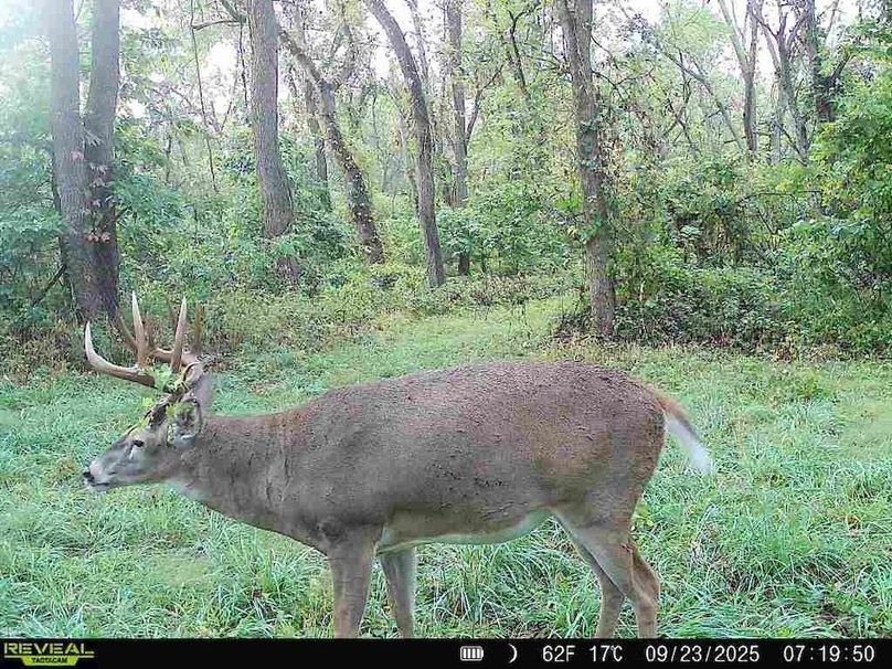 860322064036699-90-4-09232025071950-W1003108