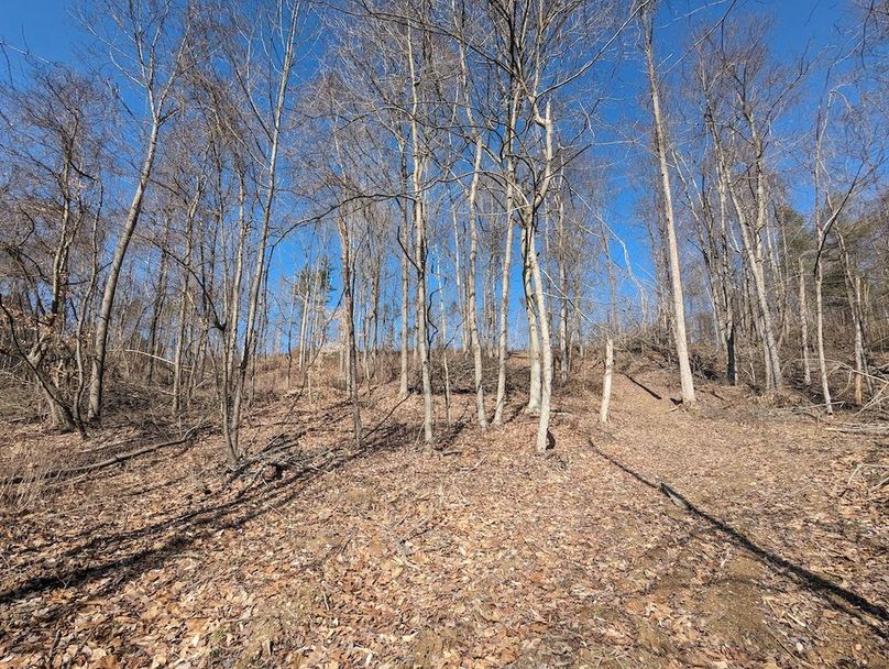 PXL_20240223_175206540