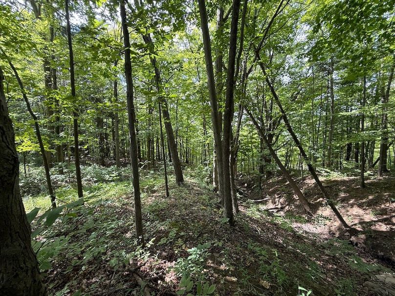 Ontario_2.7_Proseus Photo 17