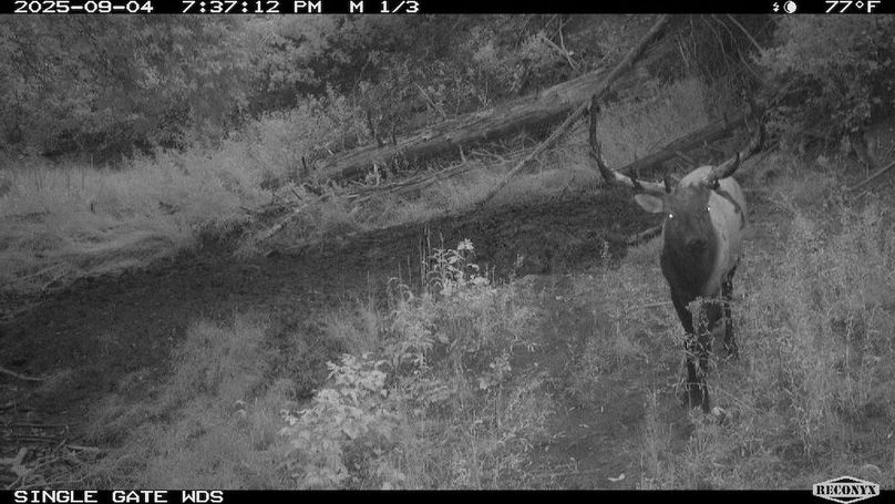 DA9ECEFD-5A7E-4407-B689-084AACC3EB76