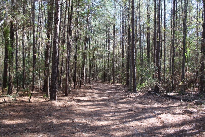 1359CFCD-F5A8-4045-B31E-808CE8DF2467_1_105_c