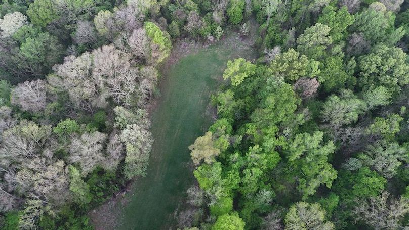 Claiborne Co-314-Fernandez-98