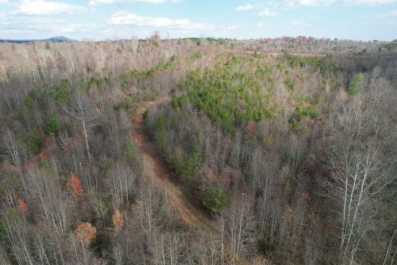 dji_fly_20251120_024338_942_1763686307265_photo