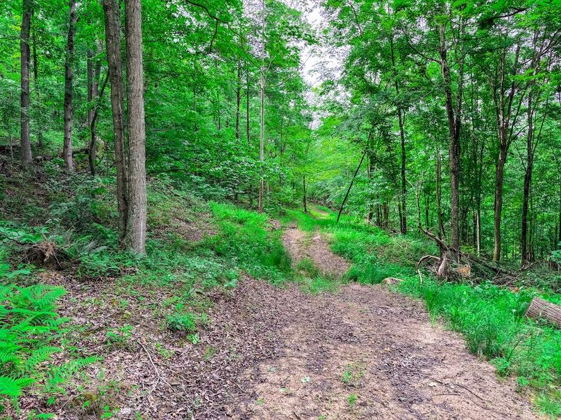 Wirt, WV 137.45 AC Full-43