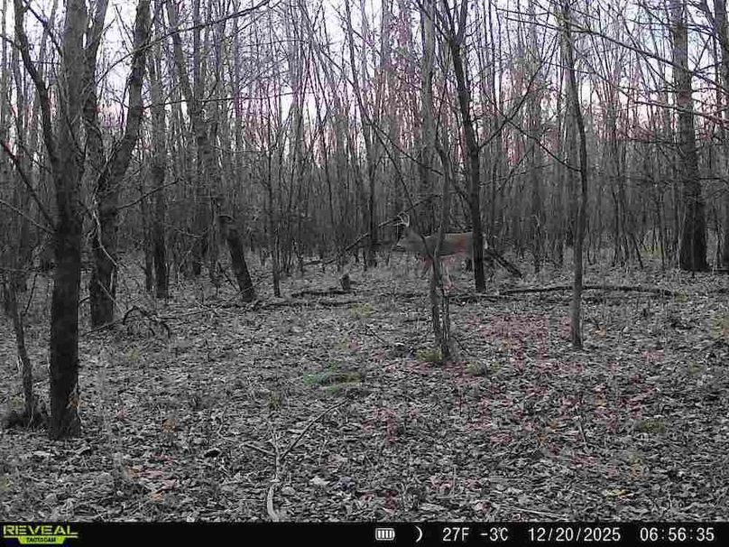 860516067589287-80-2-12202025065634-V-W1000359