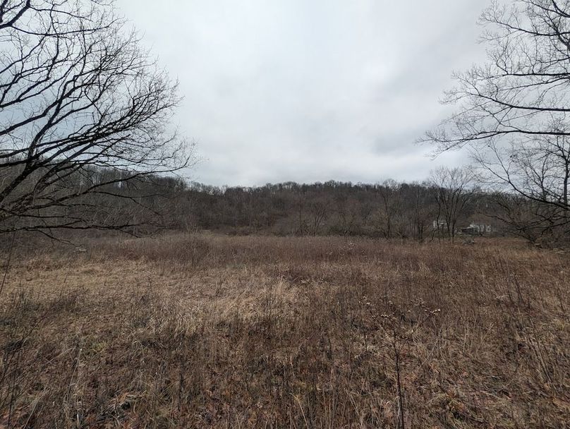 PXL_20260107_184607603.MP