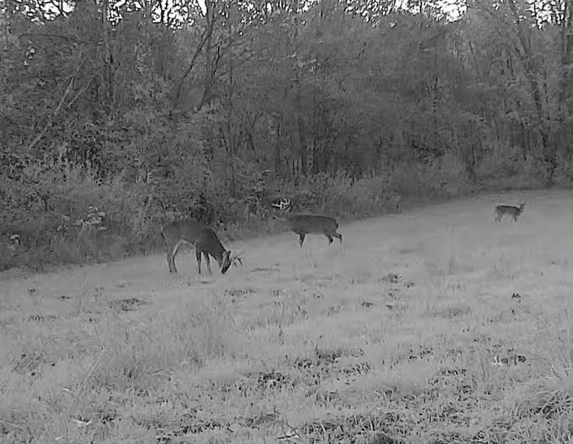 237D0E90-AC4F-4013-BDEA-48D6876B648C_1_201_a