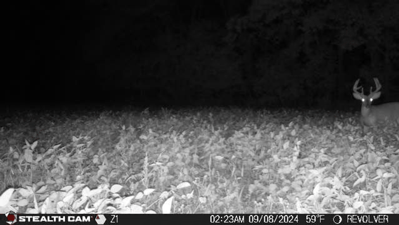 24090802235001000234