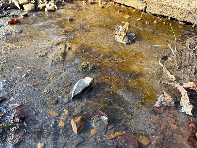 DJI_20260113_143250_147