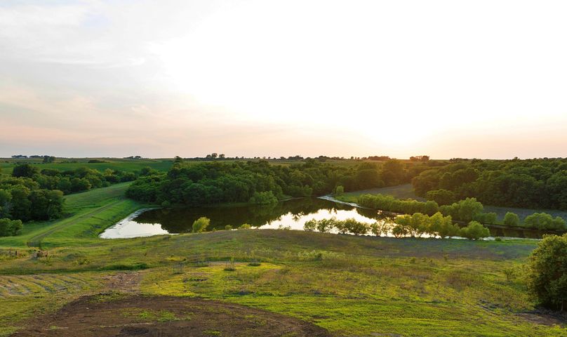 Harrison MO 480 Pro Photo_230 (15)