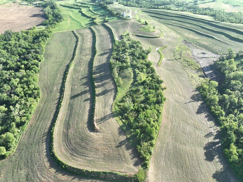 dji_fly_20260601_075336_510_1780319361418_photo