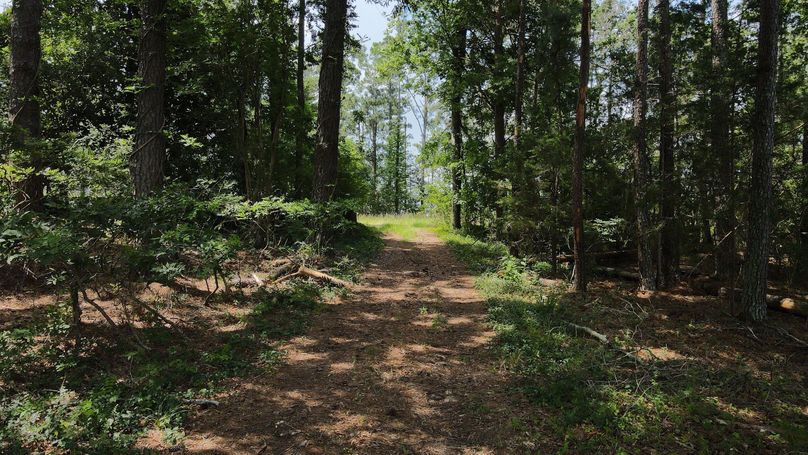 dji_fly_20230715_115724_197_1689436683978_photo