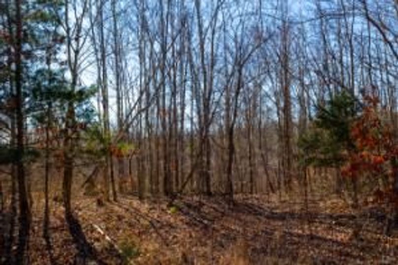 MCKINNON TRACT 19-09