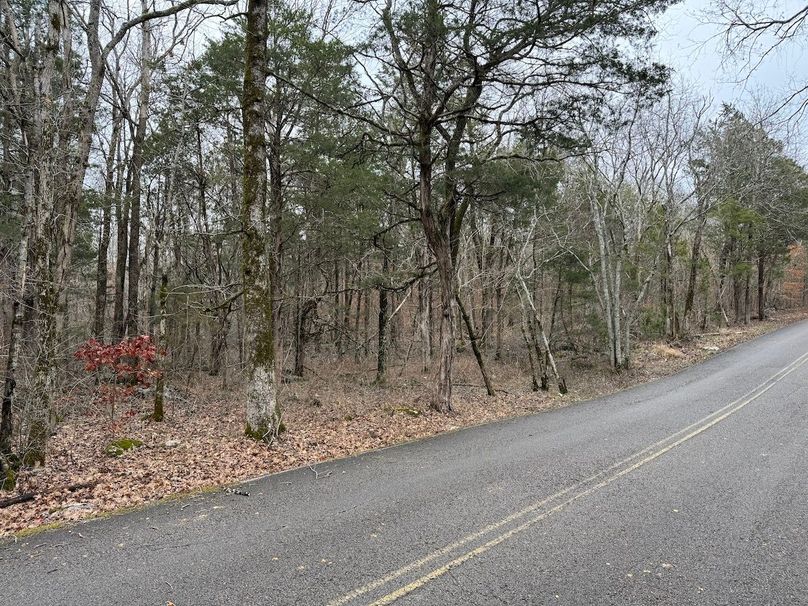 B09CBF58-07A8-46D7-AB71-AA370938F0B2