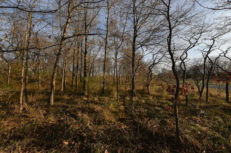 vandalia 450 (2)-2308