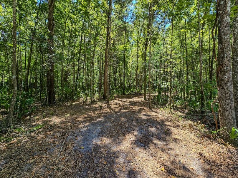 1.01ac, Citrus, Josiah Ronco08