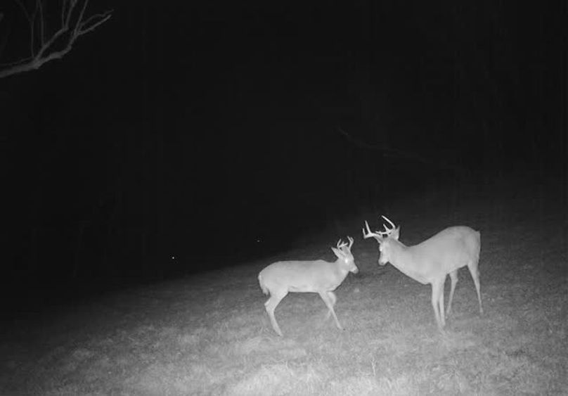 865509050123029-90-4-11232025013546-V-W1028948