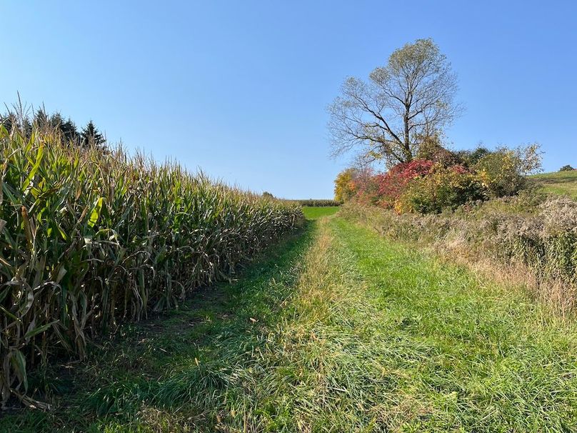 Yates_29_Stape Photo 32