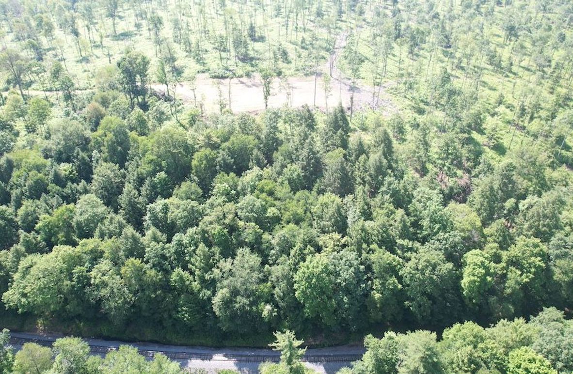 dji_fly_20250624_104130_359_1750776502737_photo